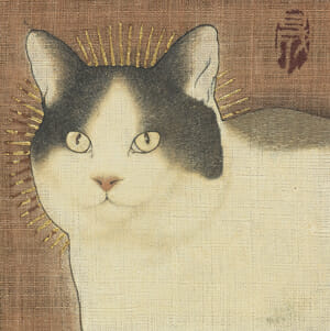 池永康晟「西早稲田一丁目 塀の上 今来た。」（参考作品）