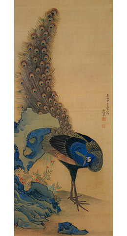 円山応挙「孔雀図」