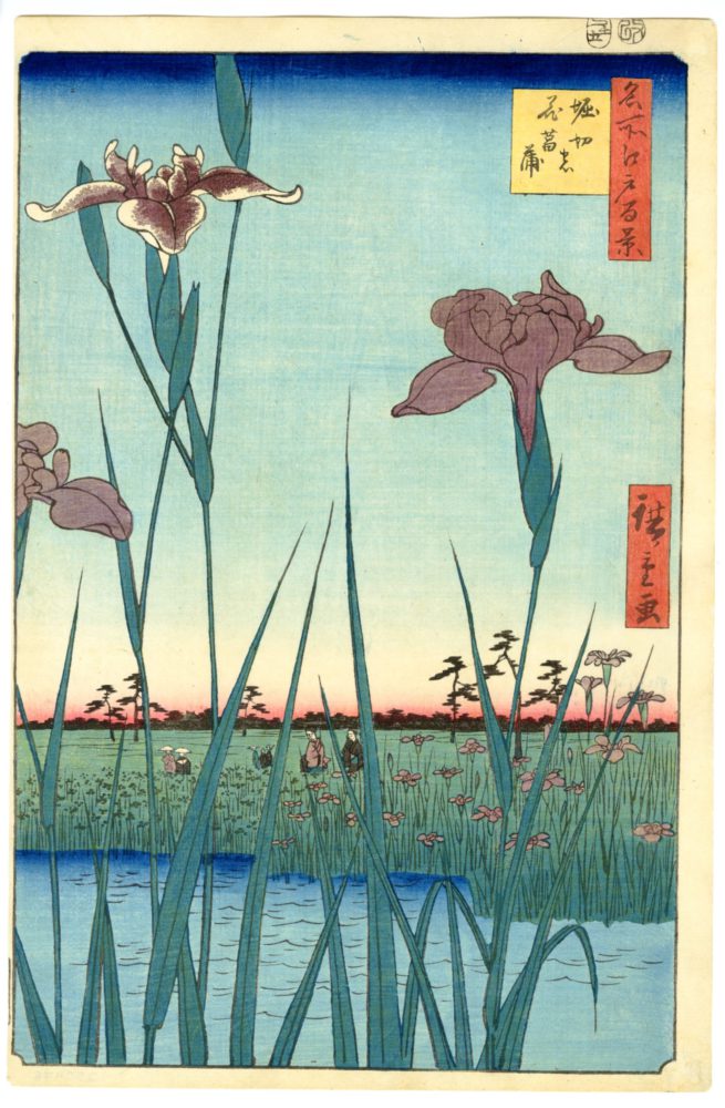 広重「名所江戸百景　堀切の花菖蒲」　SOLD OUT