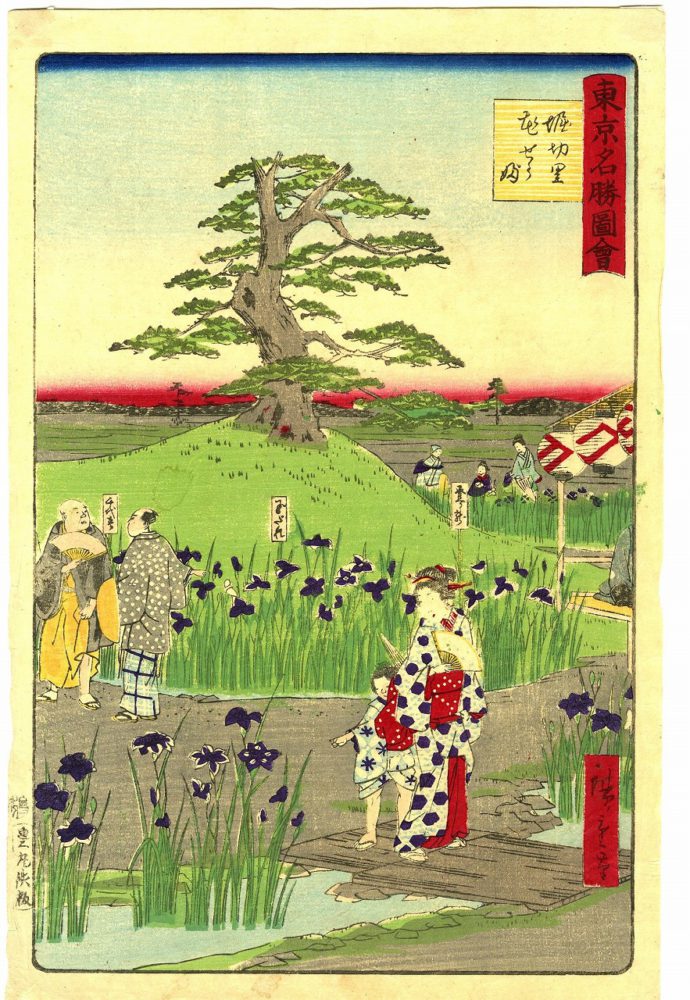 広重Ⅲ「東京名勝図会　堀切里花せうぶ」　SOLD OUT