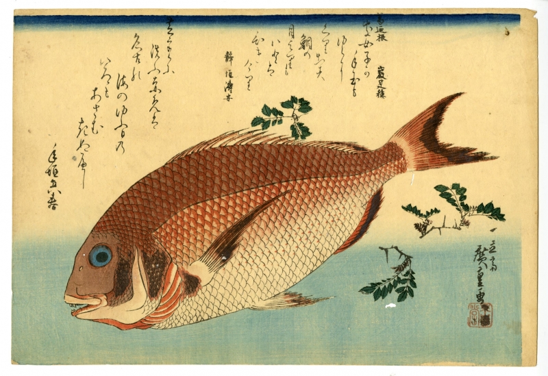 広重「魚づくし 鯛に山椒」　価格 300,000円（税込）