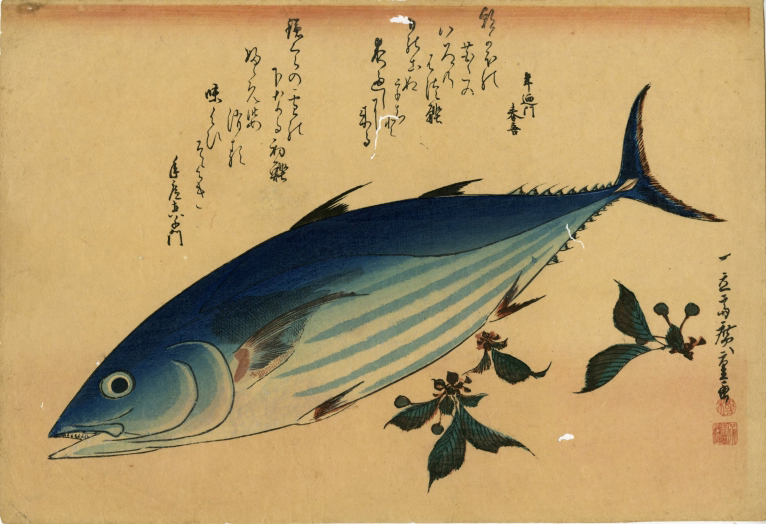広重「魚づくし 鰹に桜」 価格 350,000円