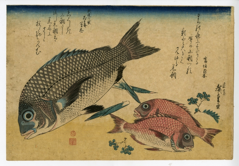 広重「魚づくし　黒鯛小鯛に山椒」